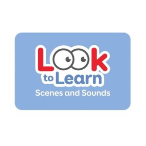Look to Learn: Scenes and Sounds